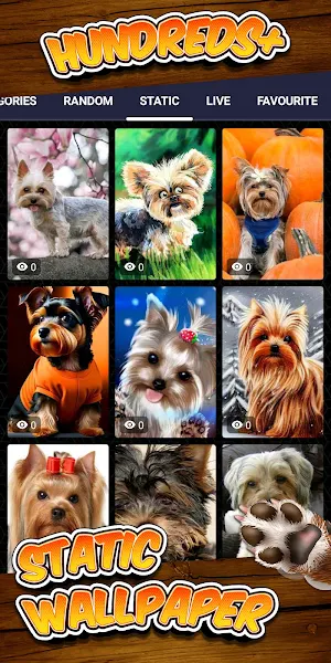 yorkie wallpaper Screenshot 3
