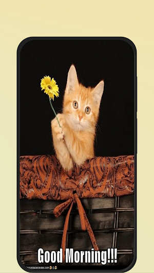 cat good morning Screenshot 2