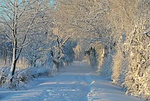 Snow wallpapers Screenshot 3