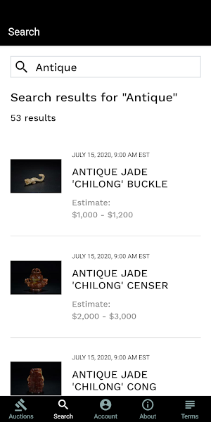 Merces Gallery Live Bidding Screenshot 2