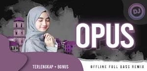 Kumpulan Dj Opus Remix Offline Screenshot 0
