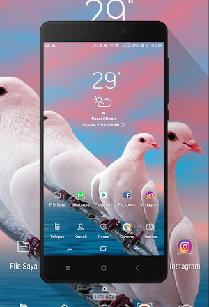 Dove Wallpaper Screenshot 2