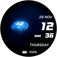 Live Jellyfish