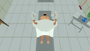 Gassal Simulator Screenshot 2