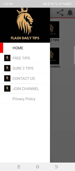 Flash Daily Tips Screenshot 2