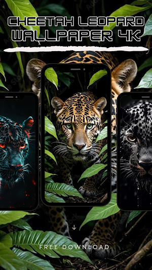 Cheetah Leopard Wallpaper 4K Screenshot 3