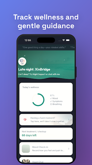 XinBridge Screenshot 0