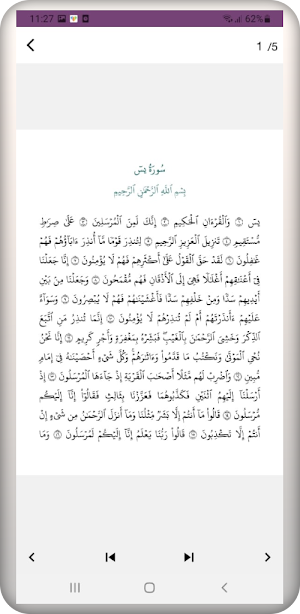 سورة يس Screenshot 2