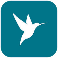 Blue Colibri