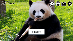I wanna escape from the panda Screenshot 1