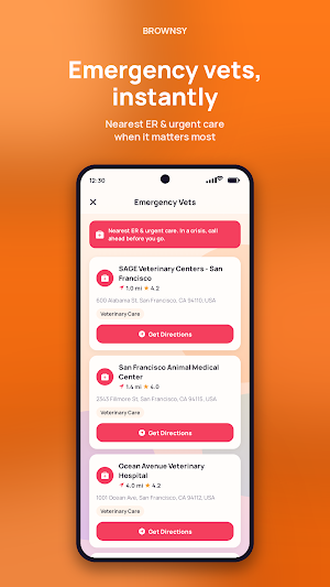 Brownsy Screenshot 1