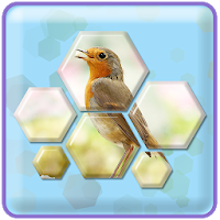 Hexa! Jigsaw - Block hexa puzzle game
