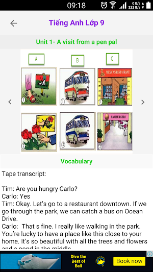Tieng Anh Lop 9 - English 9 Screenshot 1