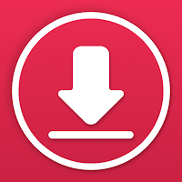 Video Downloader: Story Saver