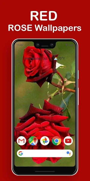 Rosely- Rose Flower wallpapers, Floral Backgrounds Screenshot 2