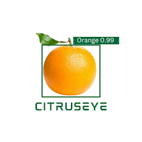 CitrusEye