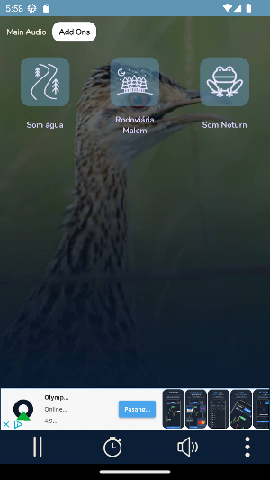 Codorna Do Nordeste - 24 Hora Screenshot 2