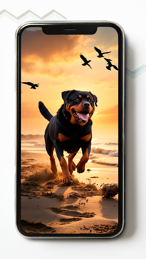 Rottweiler HD Wallpaper Screenshot 2