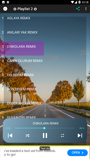Turkish Mp3 Remix 2025 Screenshot 1
