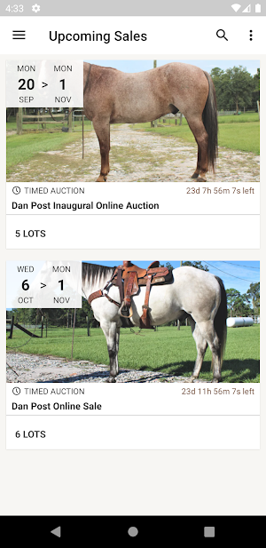 Dan Post Quarter Horse Auction Screenshot 0
