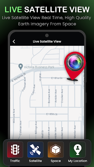 Live Earth Map - Online Camera Screenshot 3