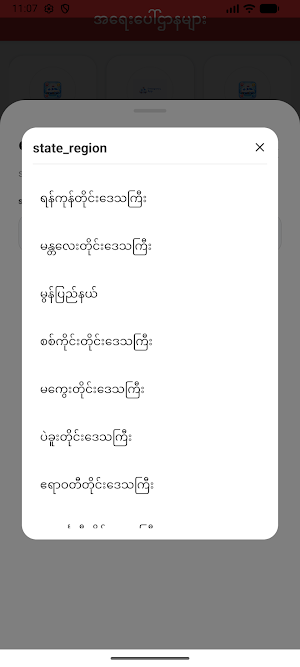 Emergency Myanmar Screenshot 1