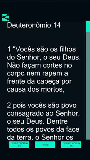 Bíblia Sagrada Evangélica Screenshot 3