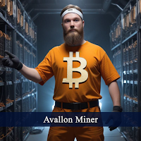 Avallon Miner - Bitcoin Mining