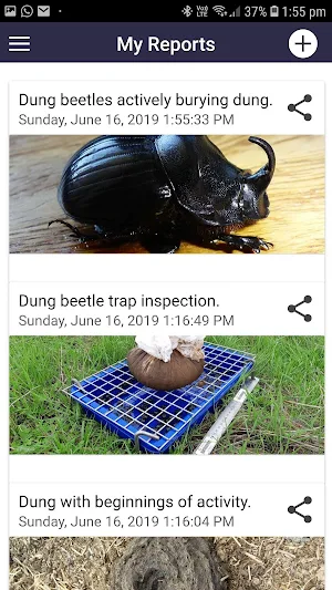 MyDungBeetle Reporter Screenshot 1