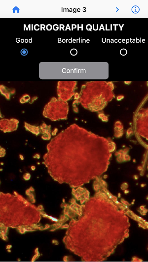 IsletSwipe Screenshot 1