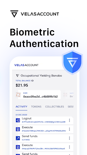Velas Account Screenshot 2