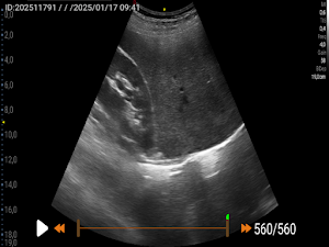 MyLabPocketVet Screenshot 1