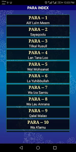 16 Line Quran Kareem -16 Lines per page Screenshot 1