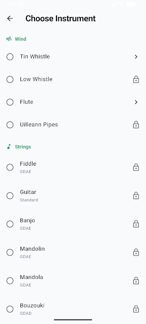 Little Session: Irish Tunes Screenshot 3