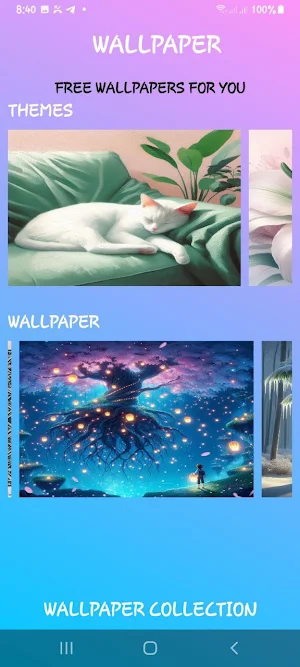 Wallpaper Screenshot 2