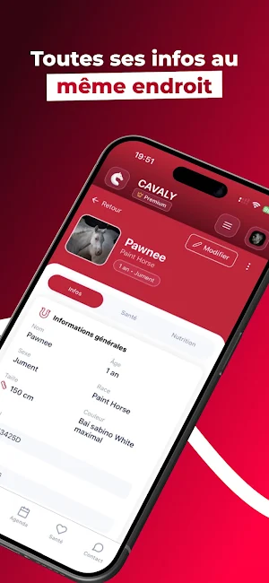 Cavaly Screenshot 1