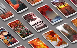 🍁 Autumn Wallpaper 🍂 Screenshot 0