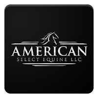 ASE Auctions