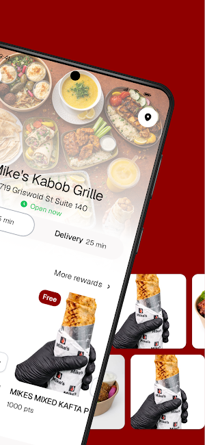 Mike's Kabob Grille To Go Screenshot 1