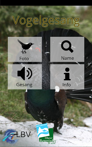 Vogelgesang im Oberbay. Wald Screenshot 0