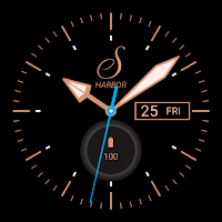 Classic Diver Luminous Dark