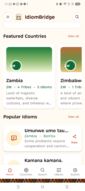 IdiomBridge Screenshot 1