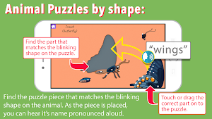 Parts of Animals Invertebrates -Montessori Zoology Screenshot 3