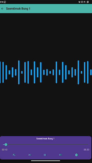 Falam Bible Audio Screenshot 0