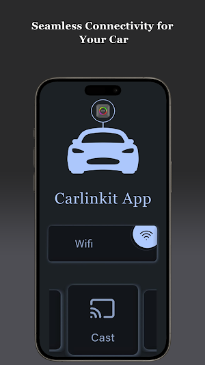 Carlinkit Screenshot 3