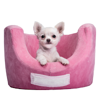 Baby Animal Wallpapers