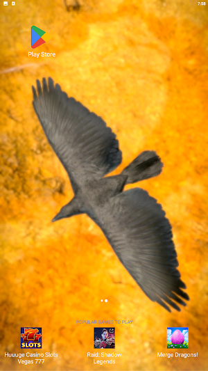Birds Live Wallpaper Lite Screenshot 1