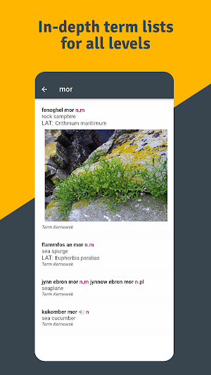 App Gerlyver Screenshot 1