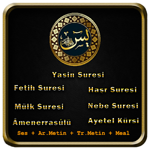 Yasin Fetih Mülk Amme Sesli Screenshot 0