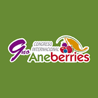 Aneberries Connect